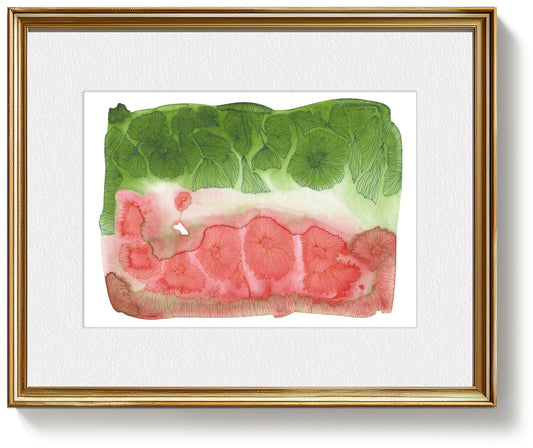 Watermelon